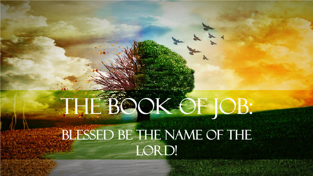 The Book of Job: Blessed Be the Name of the Lord!