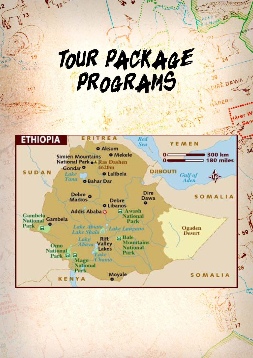 Travel Ethiopia Tour Packages