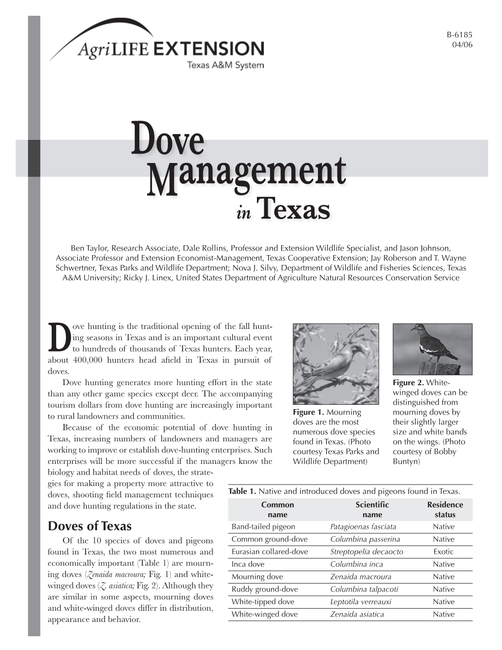 Dove Management in Texas