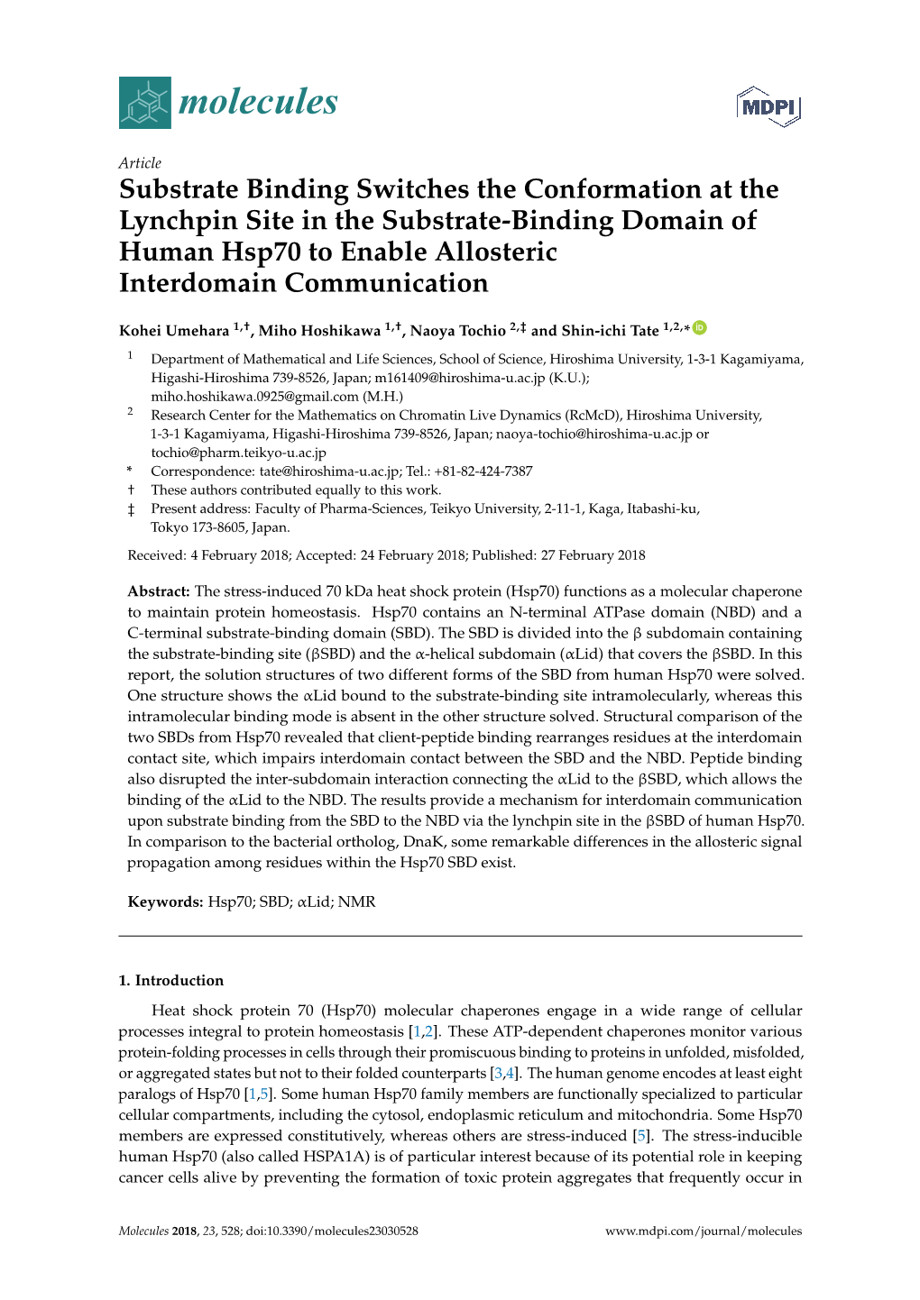 Substrate Binding Switches the Conformation at the Lynchpin Site in the Substrate-Binding Domain of Human Hsp70 to Enable Allosteric Interdomain Communication