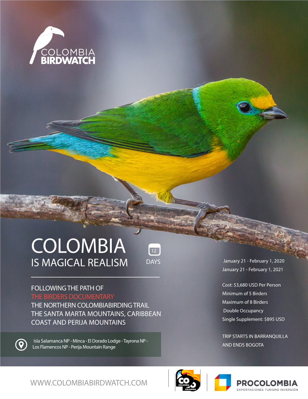 Colombia Birdwatch