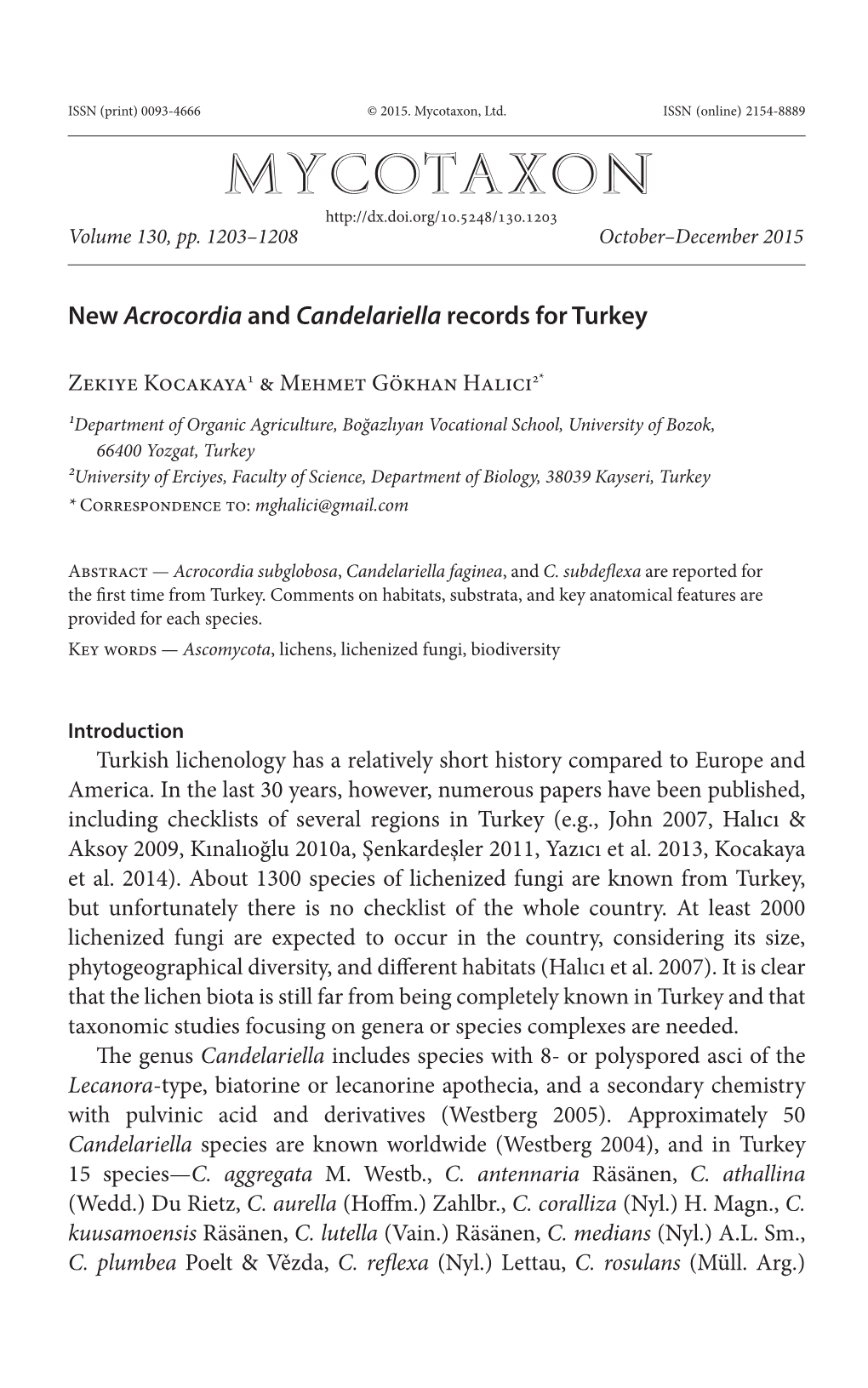 New <I>Acrocordia</I> and <I>Candelariella