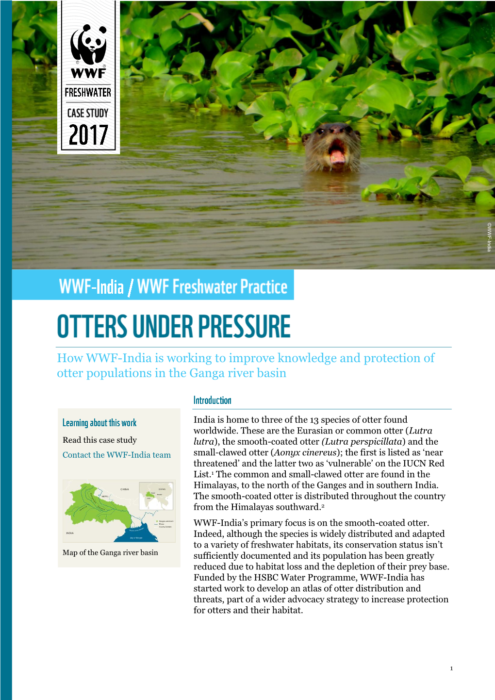 How WWF-India Is Working to Improve Knowledge and Protection of Otter Populations in the Ganga River Basin