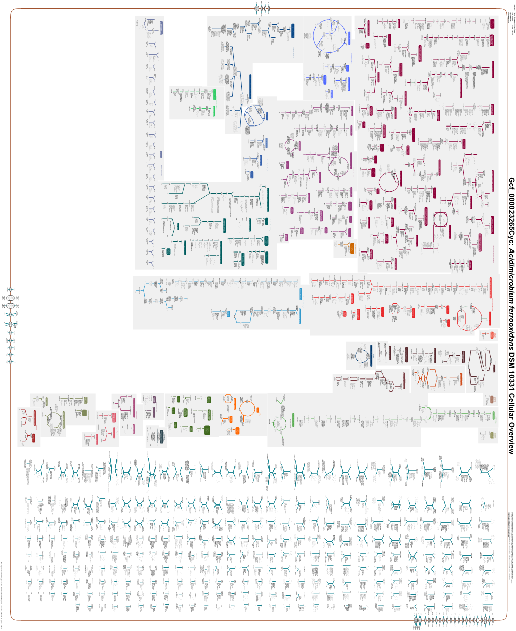 Generate Metabolic Map Poster