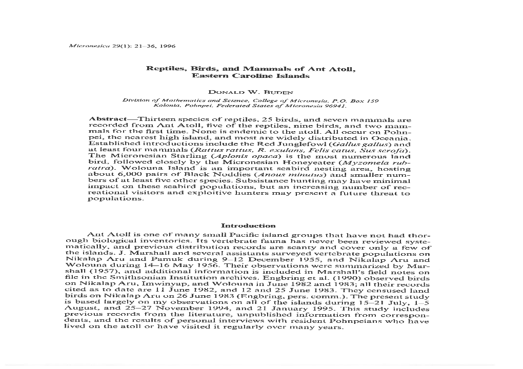 Reptiles, Birds, and Mammals of Ant Atoll, Eastern Caroline Islands