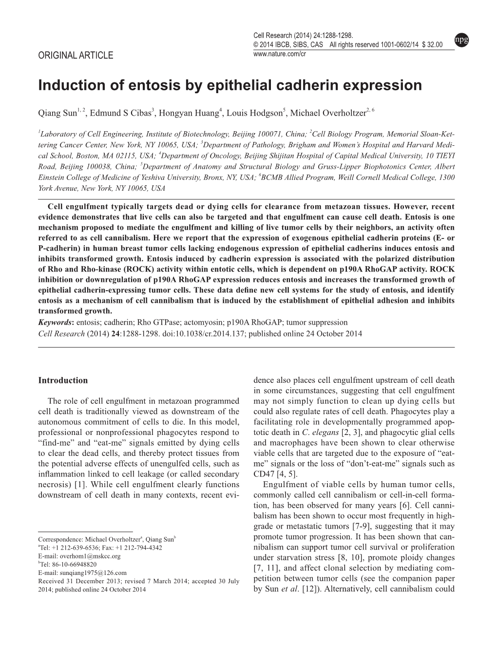 Induction of Entosis by Epithelial Cadherin Expression