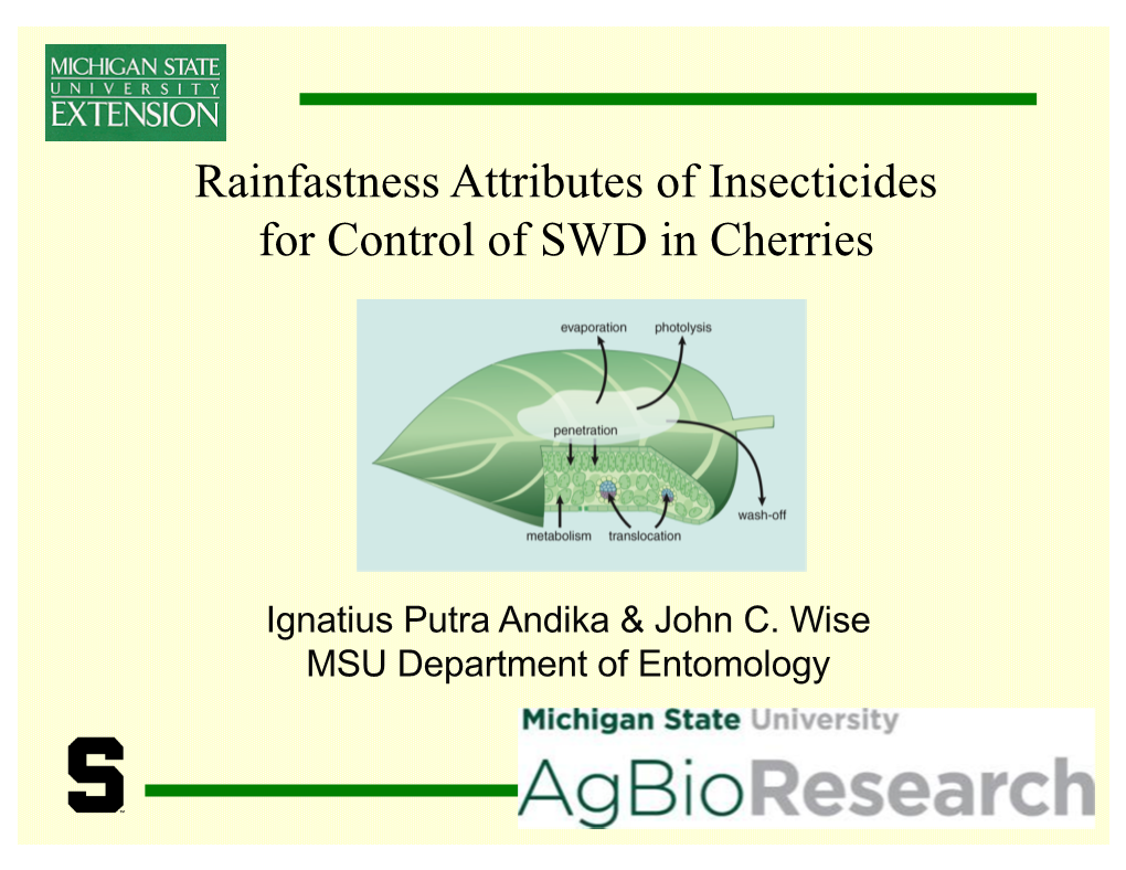Rainfastness Attributes of Insecticides for Control of SWD in Cherries