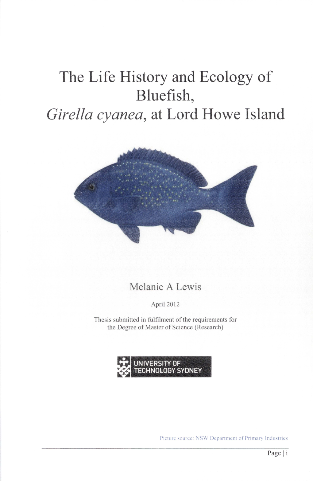 The Life History and Ecology of Bluefish, Girella Cyanea, at Lord
