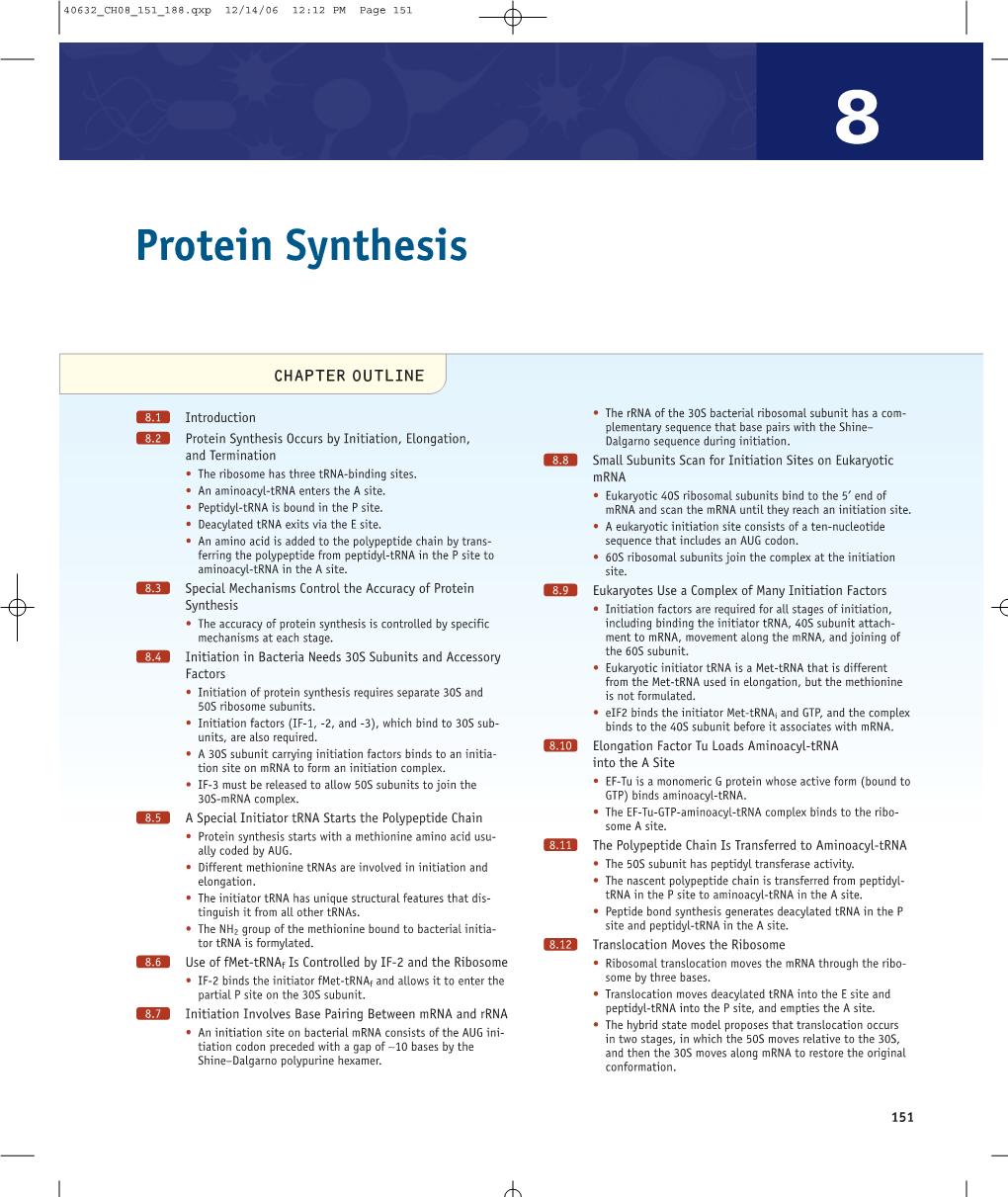 Protein Synthesis