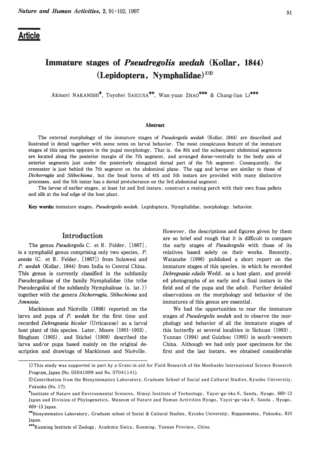 Immature Stages of Pseudergolis Wedah (Kollar, 1844) (Lepidoptera, Nymphalidae)