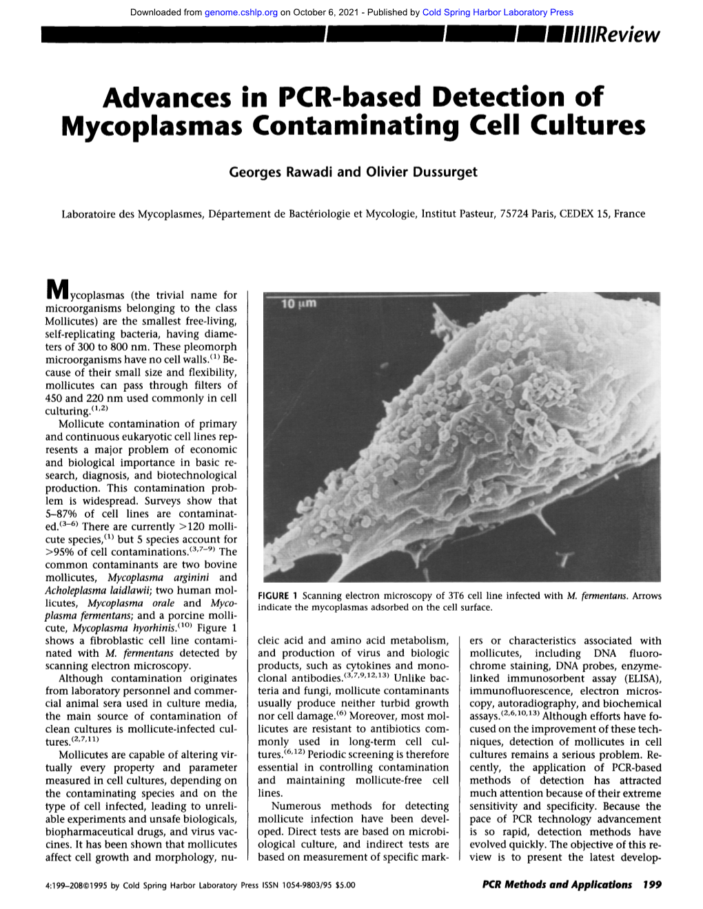 Advances in PCR Based Detection of Mycoplasmas Contaminating Cell Cultures