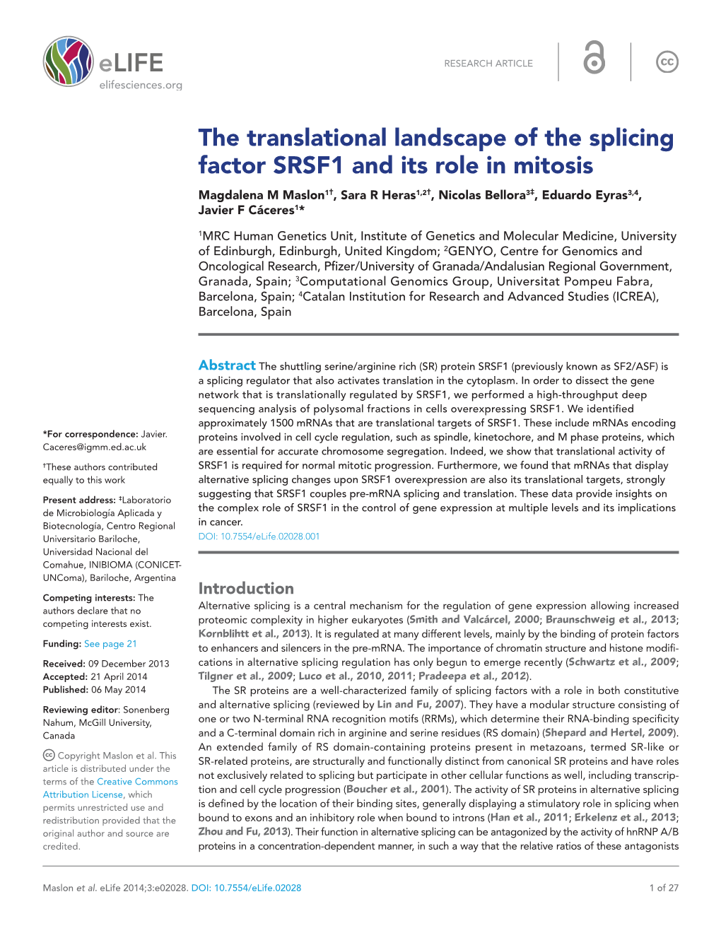 The Translational Landscape of the Splicing Factor SRSF1 and Its Role In