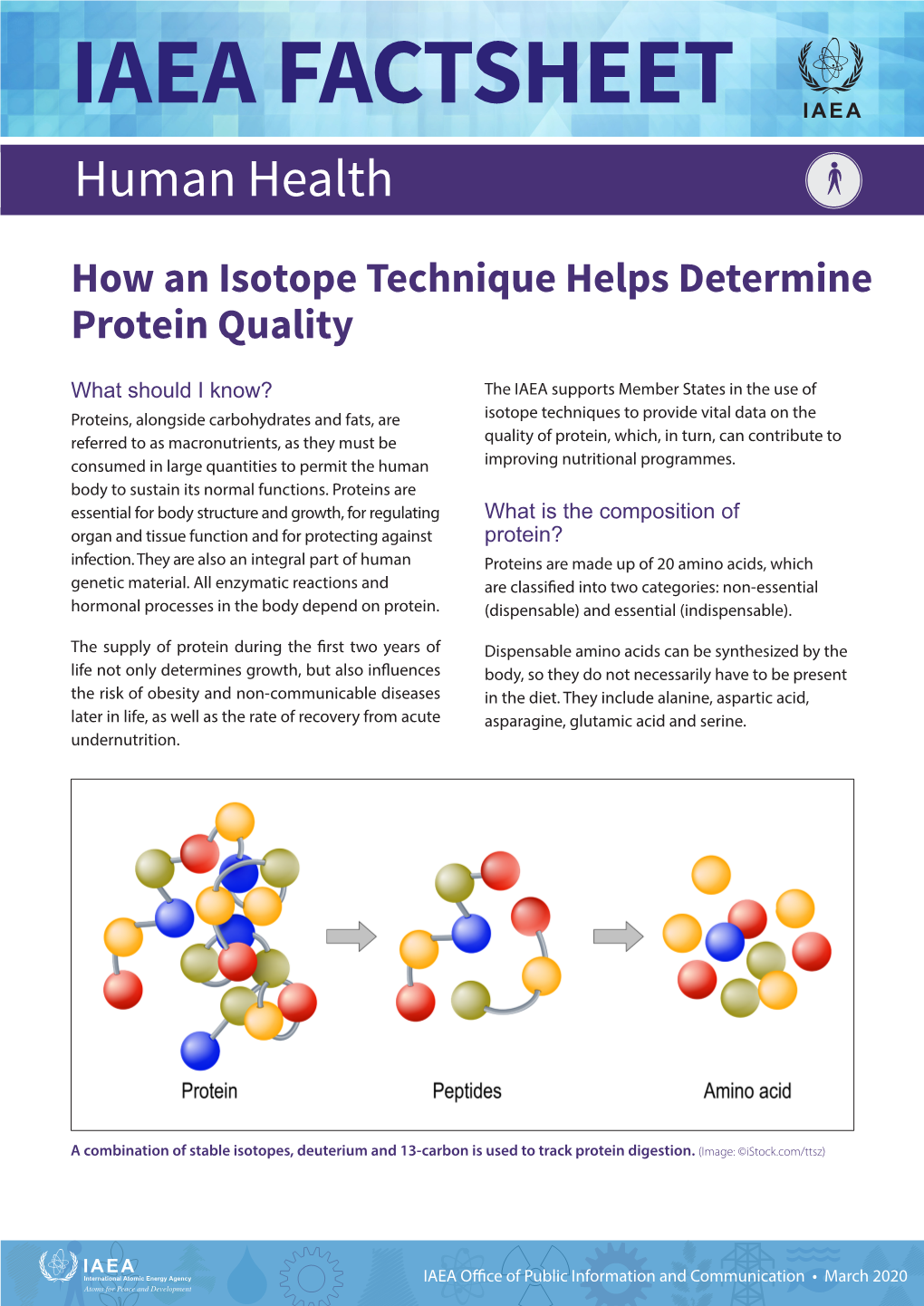 How an Isotope Technique Helps Determine Protein Quality