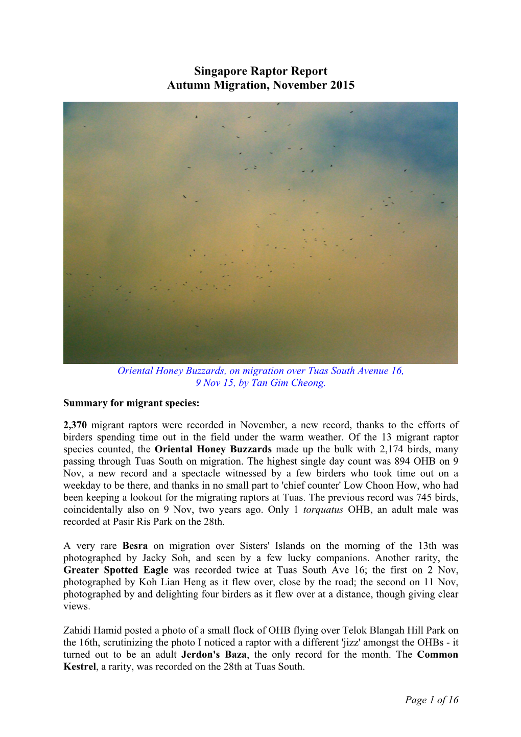 Singapore Raptor Report Autumn Migration, November 2015