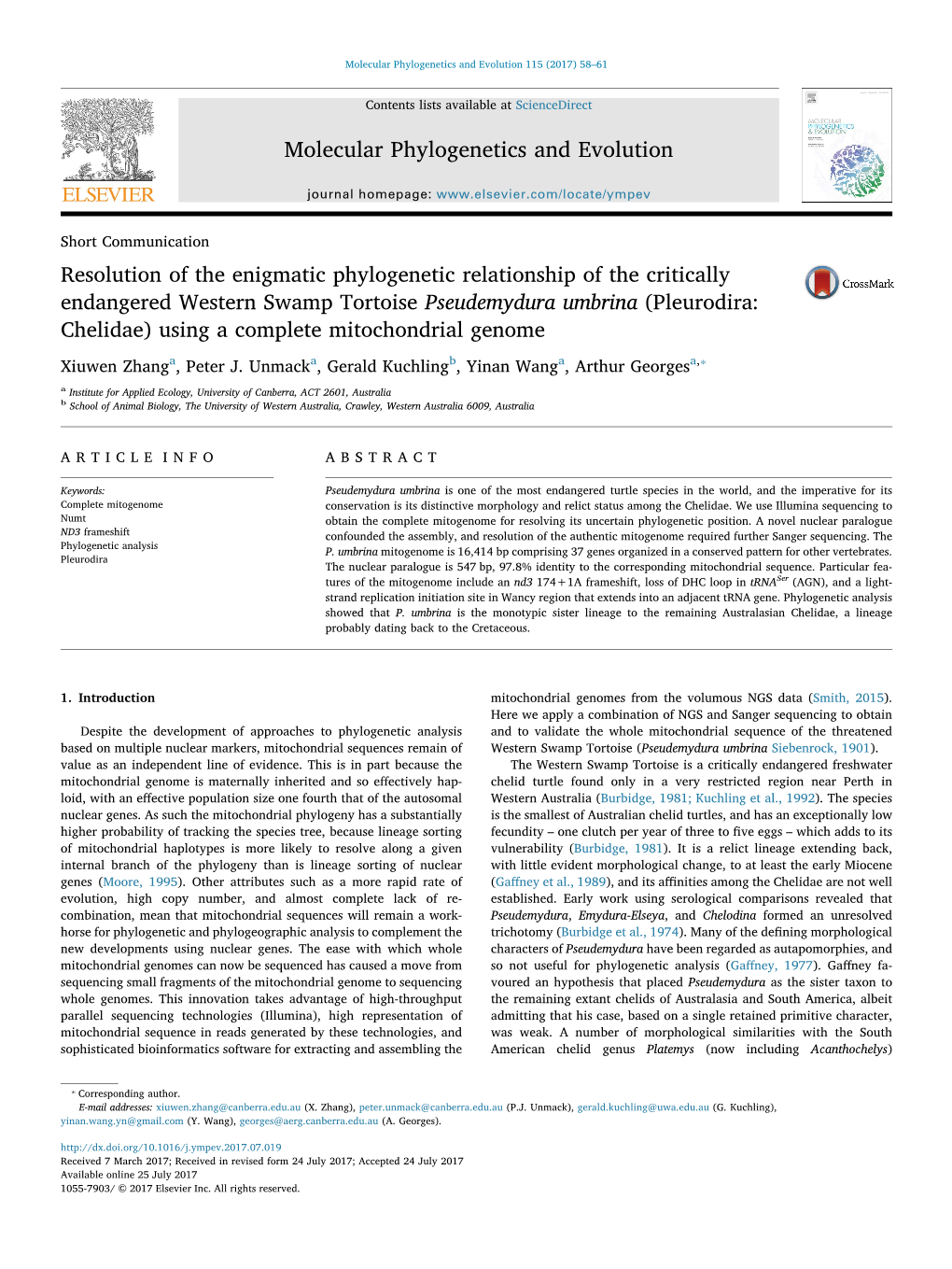 Resolution of the Enigmatic Phylogenetic