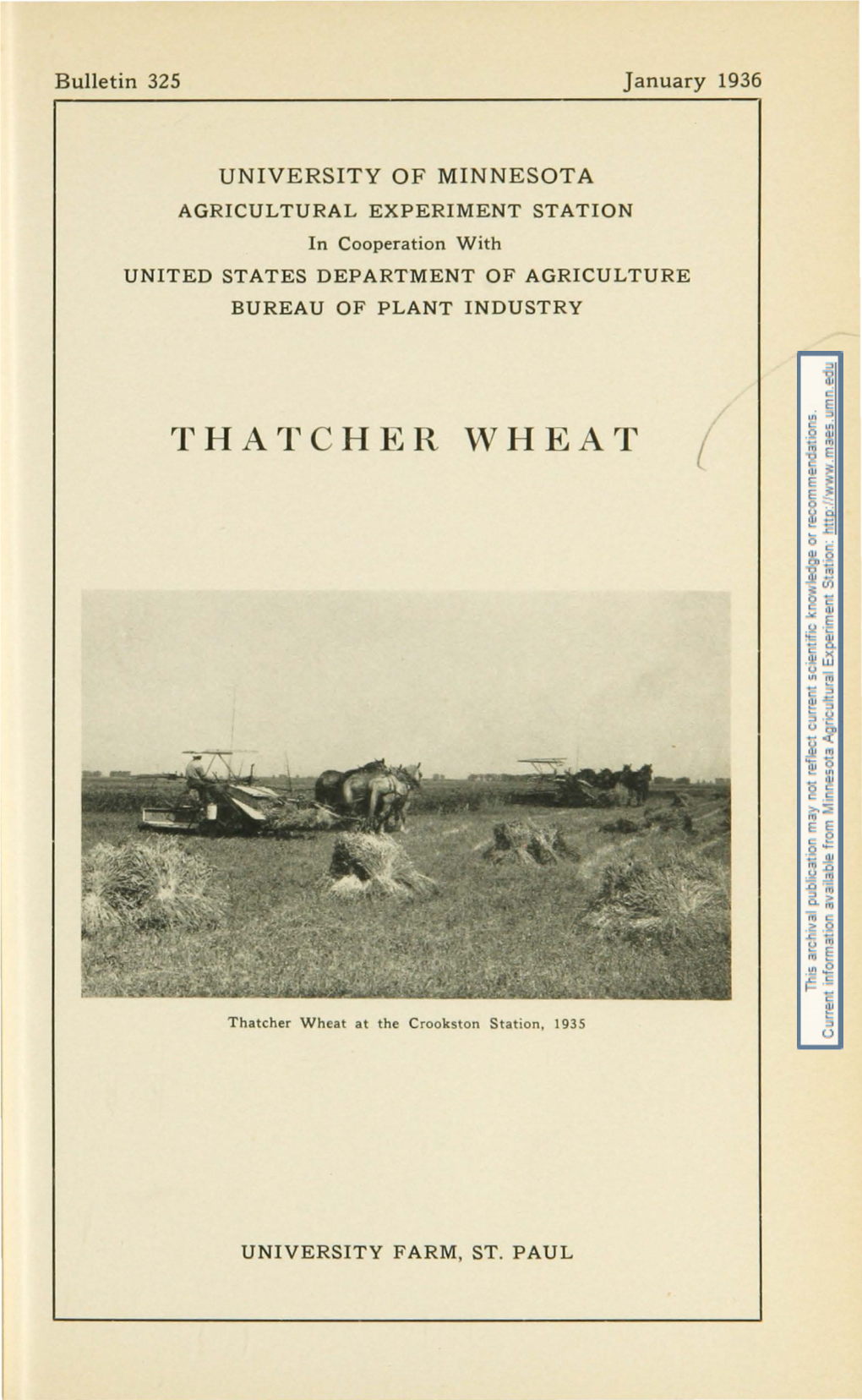 Thatcher Wheat (