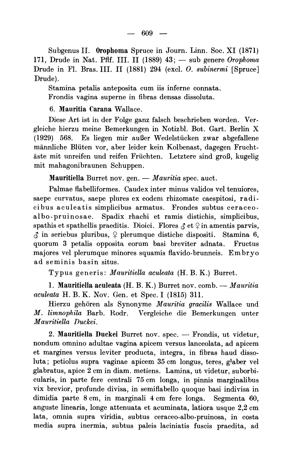 Subgenus IJ. Orophoma Spruce in Journ. Linn. Soc. XI (1871) 171