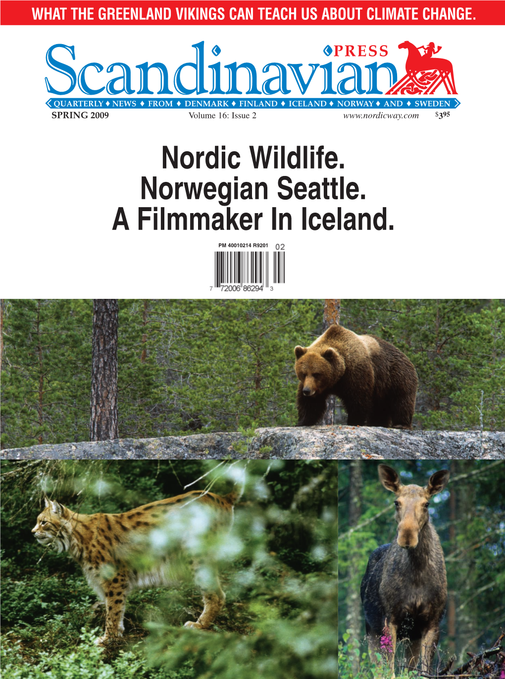 Nordic Wildlife. Norwegian Seattle. a Filmmaker in Iceland