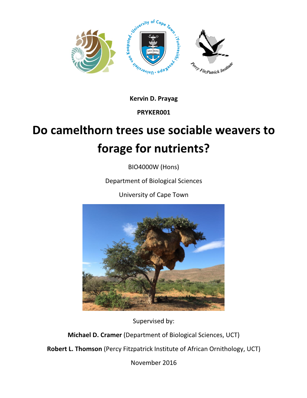 Do Camelthorn Trees Use Sociable Weavers to Forage for Nutrients?