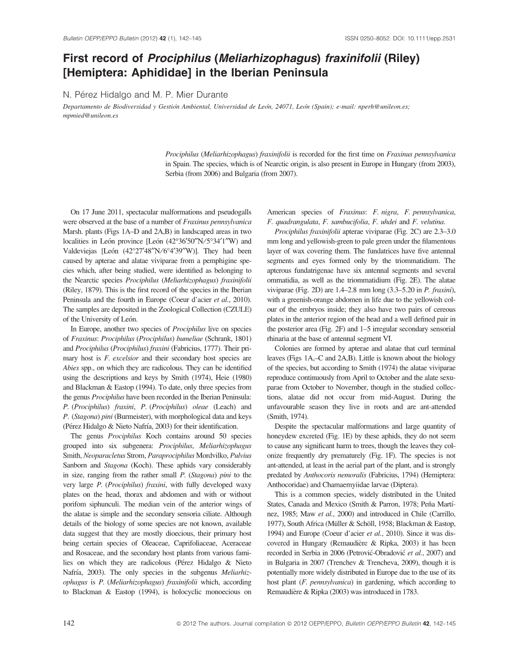 First Record of Prociphilus (Meliarhizophagus) Fraxinifolii (Riley) [Hemiptera: Aphididae] in the Iberian Peninsula