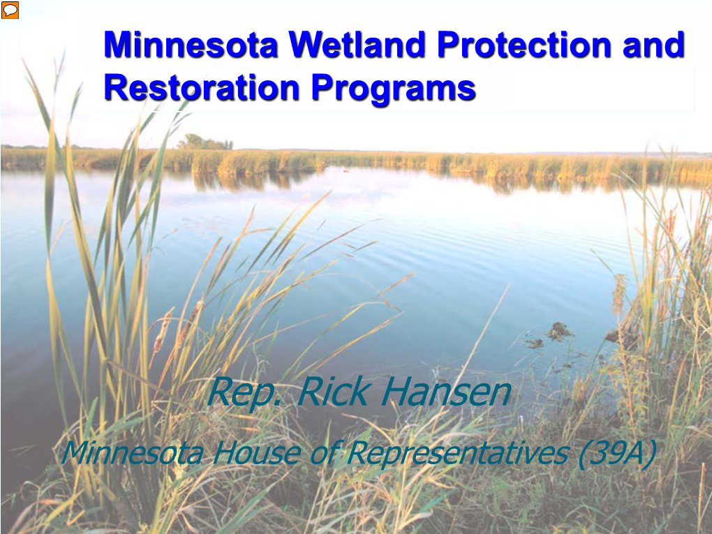 Minnesota Wetland Protection and Restoration Programs