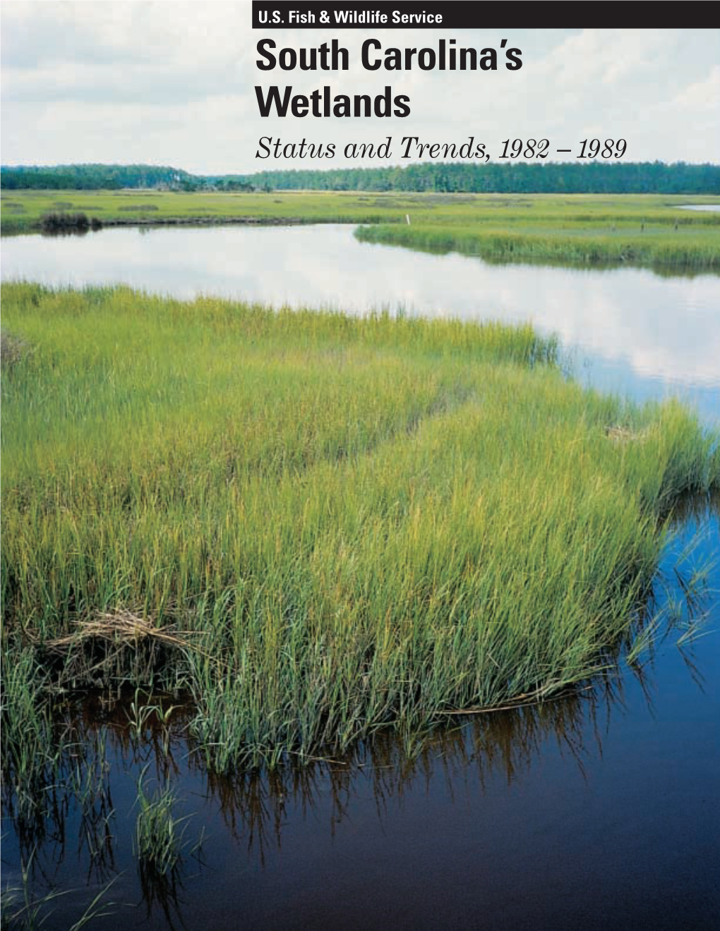 South Carolina's Wetlands: Status and Trends, 1982-1989