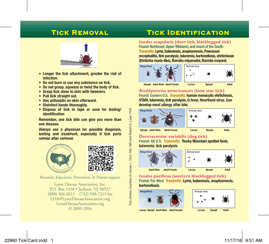 Tick Identification Tick Removal