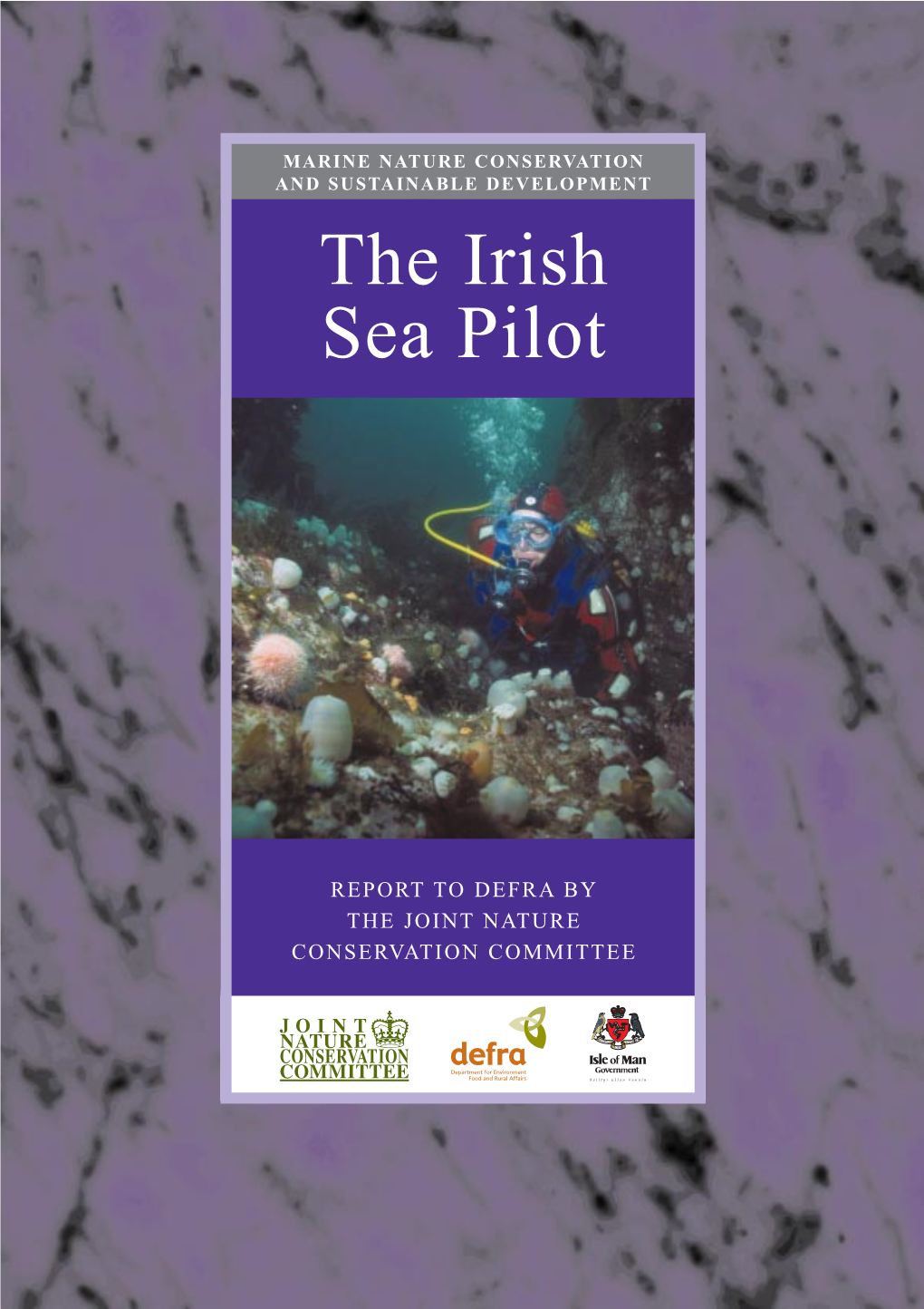 The Irish Sea Pilot