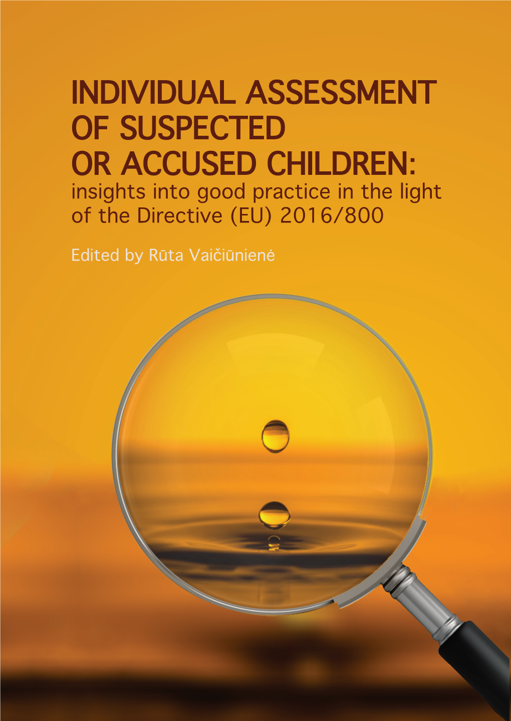 Individual Assessment of Suspected Or Accused Children: Insights Into Good Practice in the Light of the Directive (EU) 2016/800