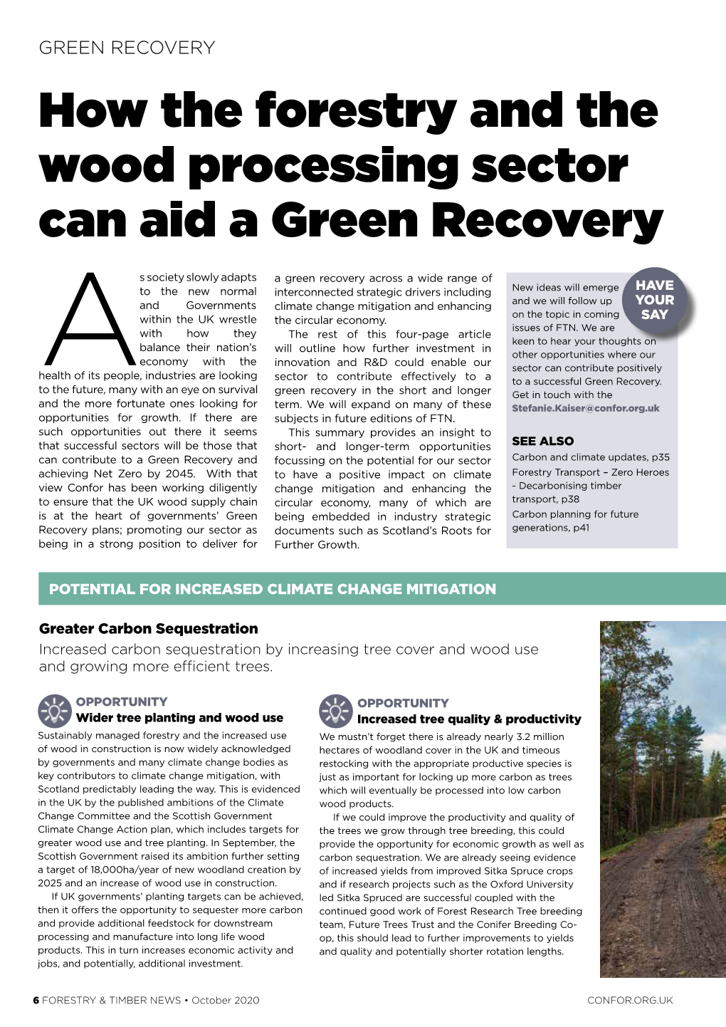 How the Forestry and the Wood Processing Sector Can Aid a Green Recovery