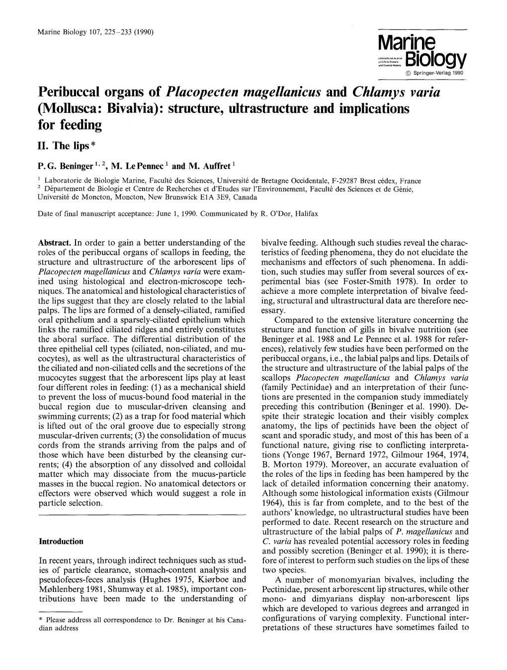Placopecten Magellanicus and Chlamys Varia (Mollusca: Bivalvia): Structure, Ultrastructure and Implications for Feeding II