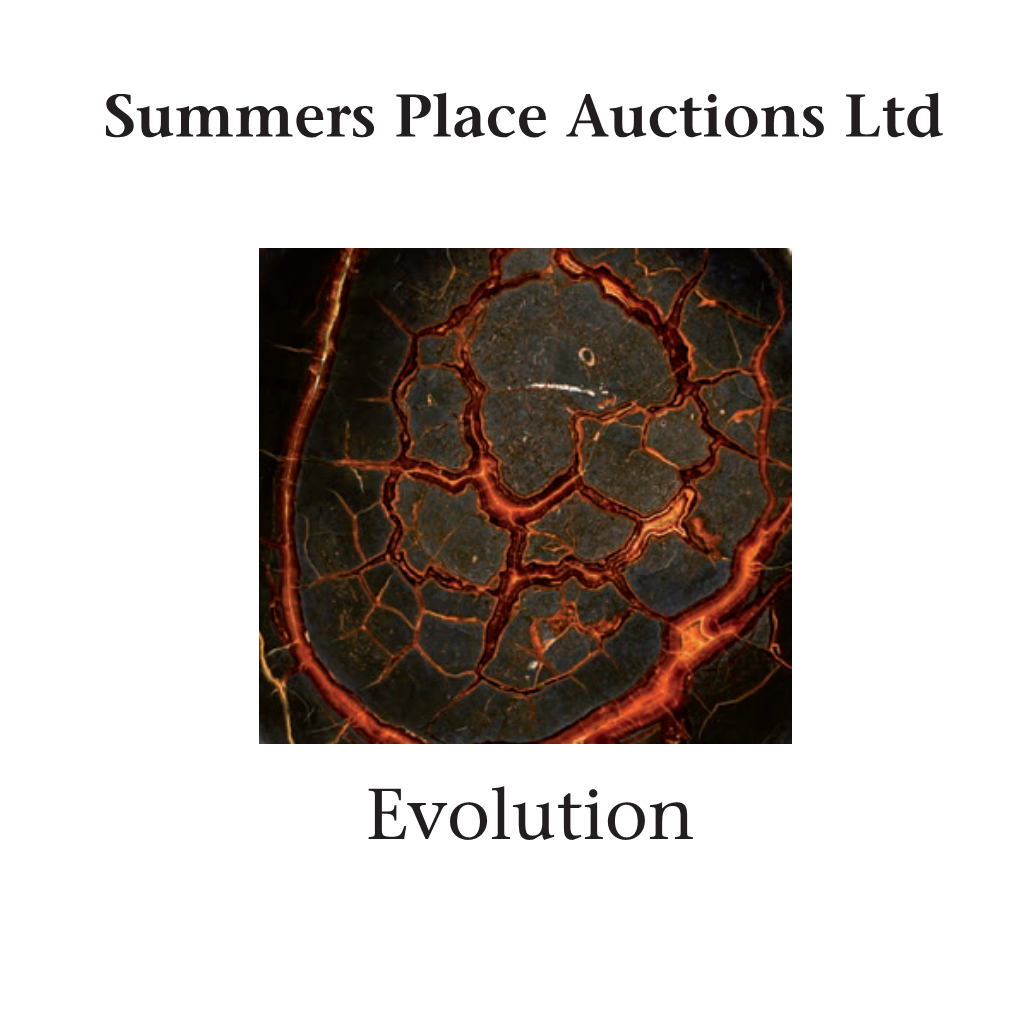 Evolution Summers Place Auctions Ltd Auctions Place Summers 24034 SPA Nov 18 Cover.Indd 3