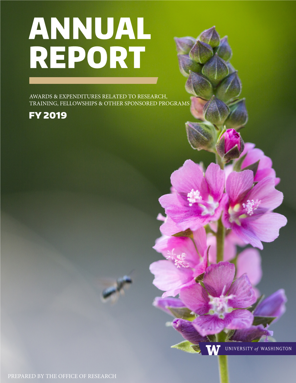 Research Annual Report