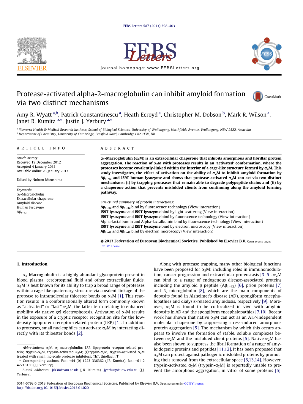 Protease‐Activated Alpha‐2‐Macroglobulin Can Inhibit Amyloid