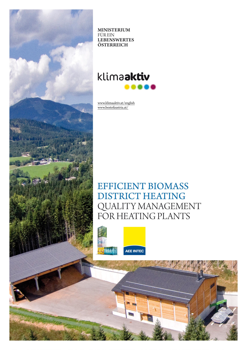 Efficient Biomass District Heating