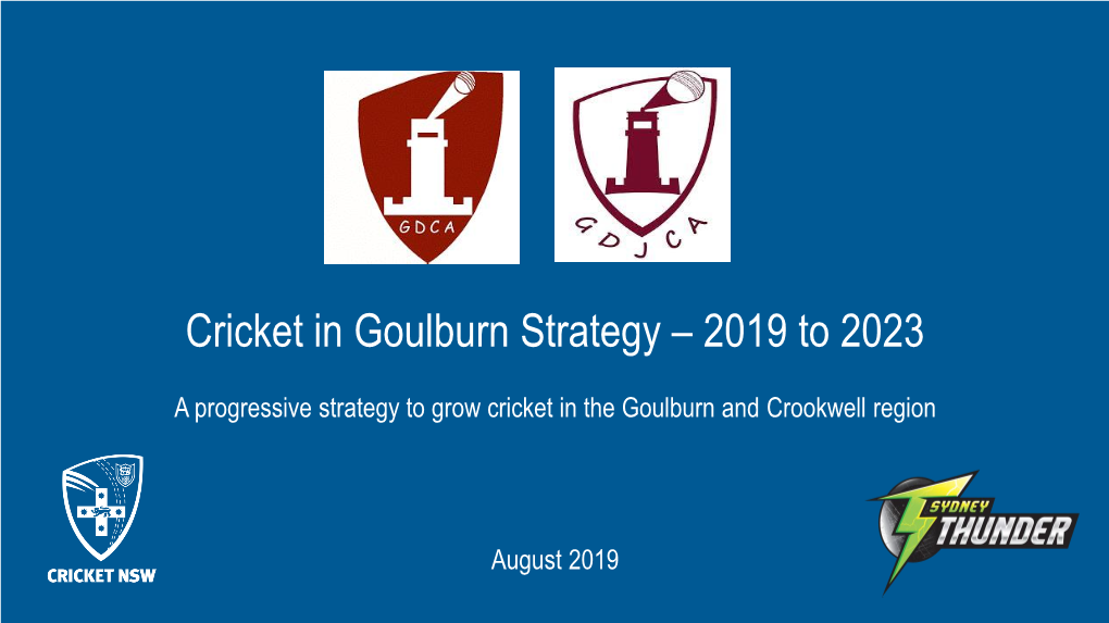 Cricket in Goulburn Strategy – 2019 to 2023