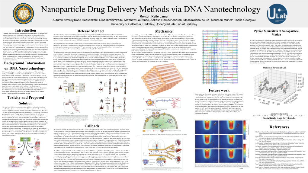 Nanoparticle Drug Delivery Methods Via DNA Nanotechnology