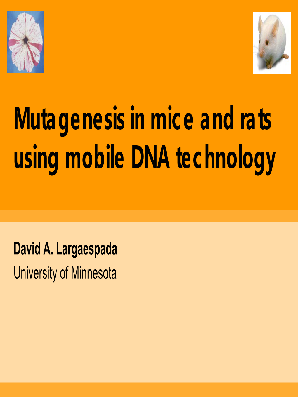 Mutagenesis in Mice and Rats Using Mobile DNA Technology