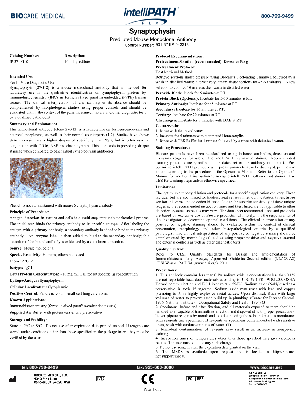 Synaptophysin Prediluted Mouse Monoclonal Antibody Control Number: 901-371IP-042313