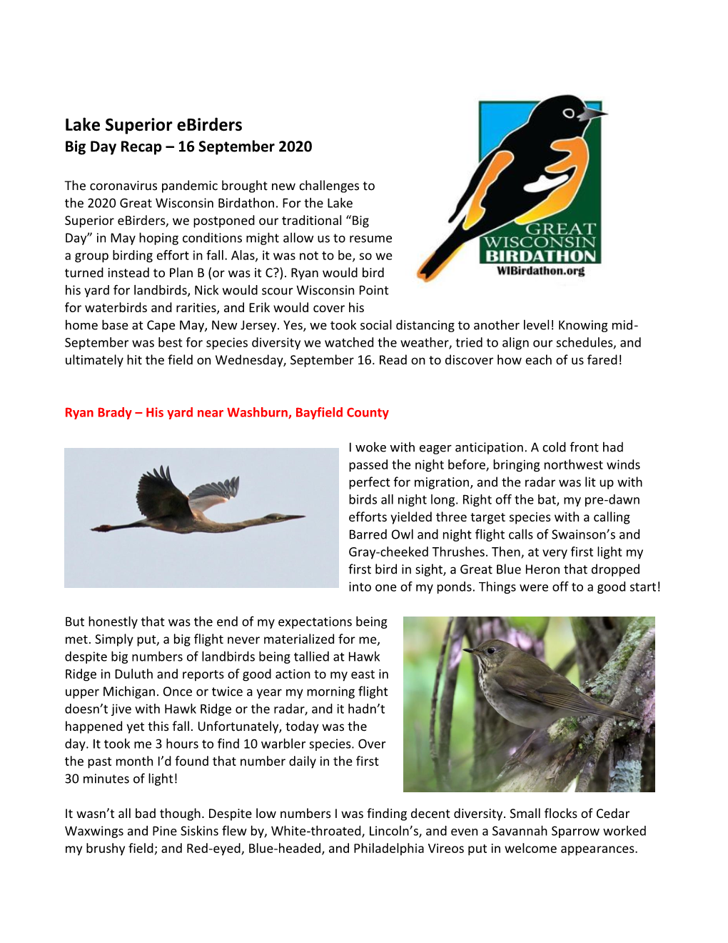 Lake Superior Ebirders Big Day Recap – 16 September 2020