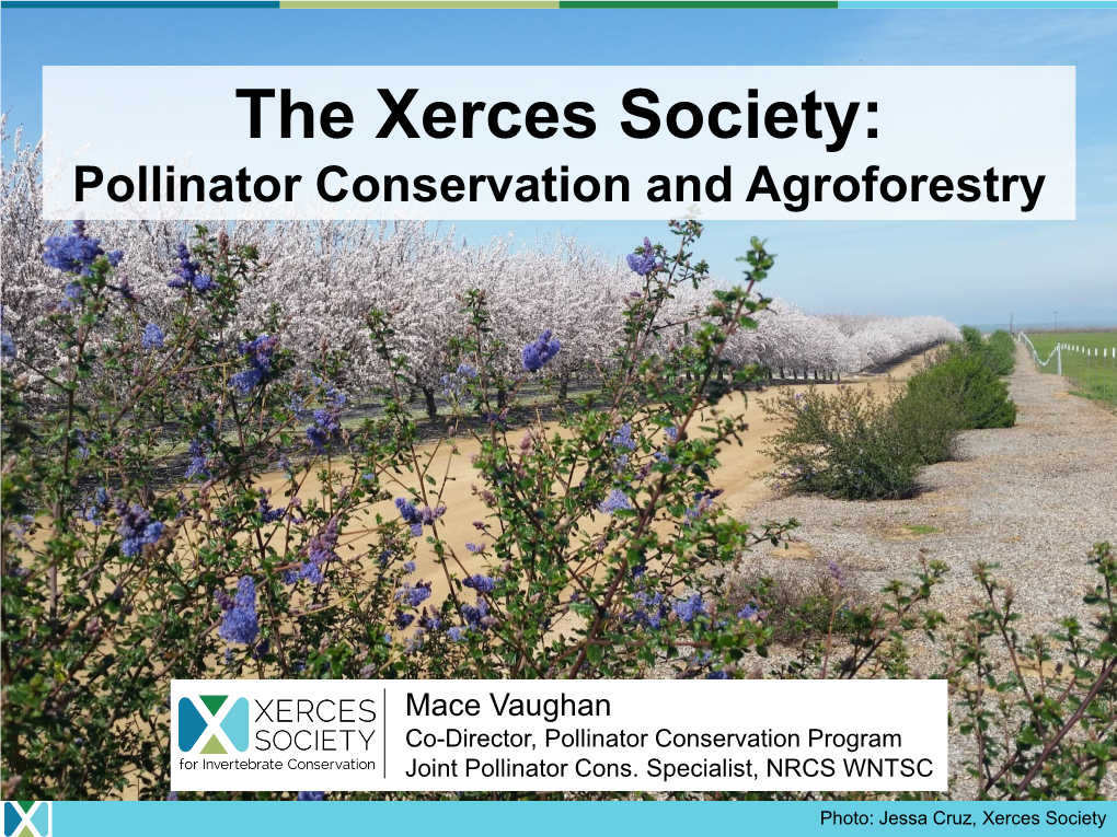 The Xerces Society: Pollinator Conservation and Agroforestry
