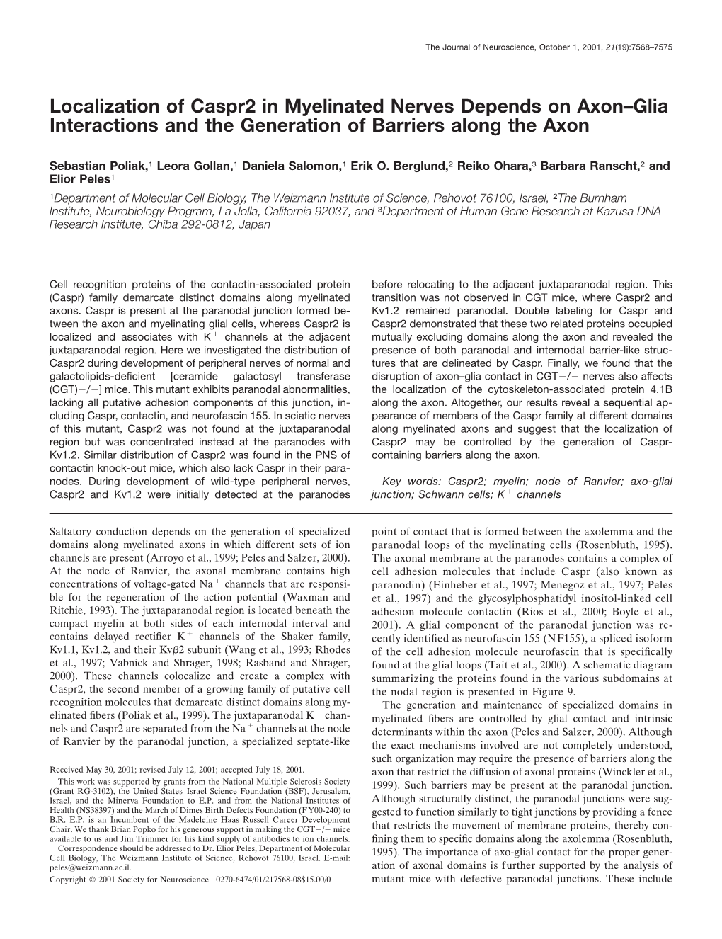 Localization of Caspr2 in Myelinated Nerves Depends on Axon–Glia Interactions and the Generation of Barriers Along the Axon