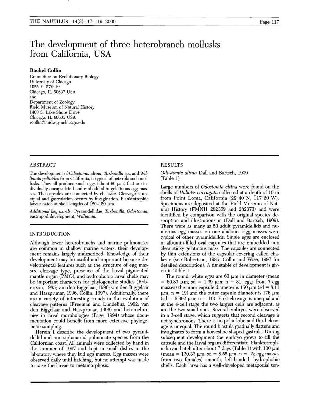 The Development of Three Heterobranch Mollusks from California, USA