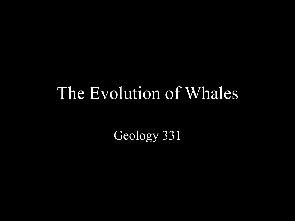 The Evolution of Whales