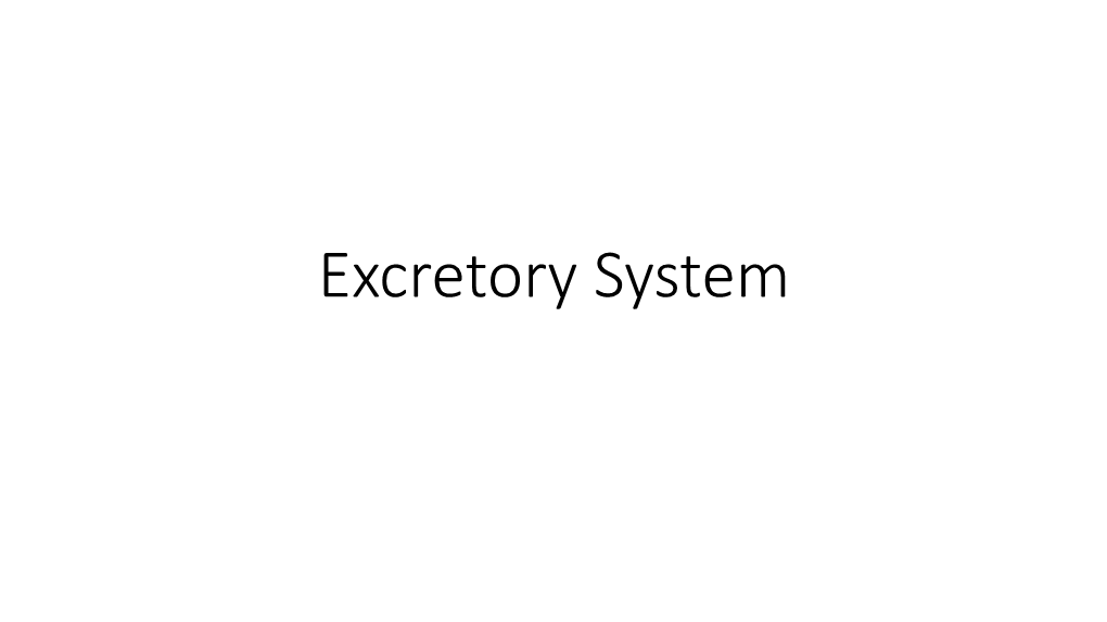 Excretory System