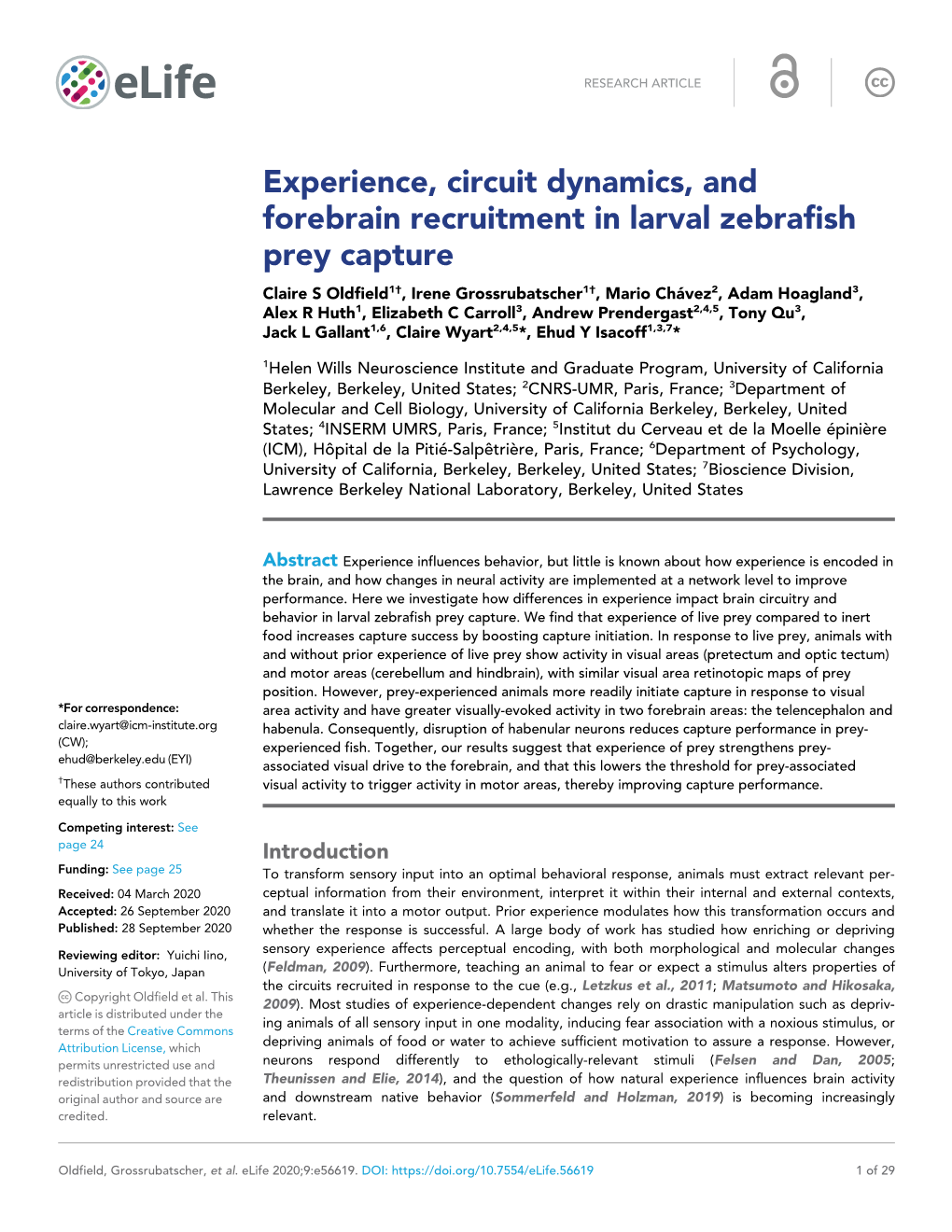 Experience, Circuit Dynamics, and Forebrain Recruitment in Larval Zebrafish Prey Capture