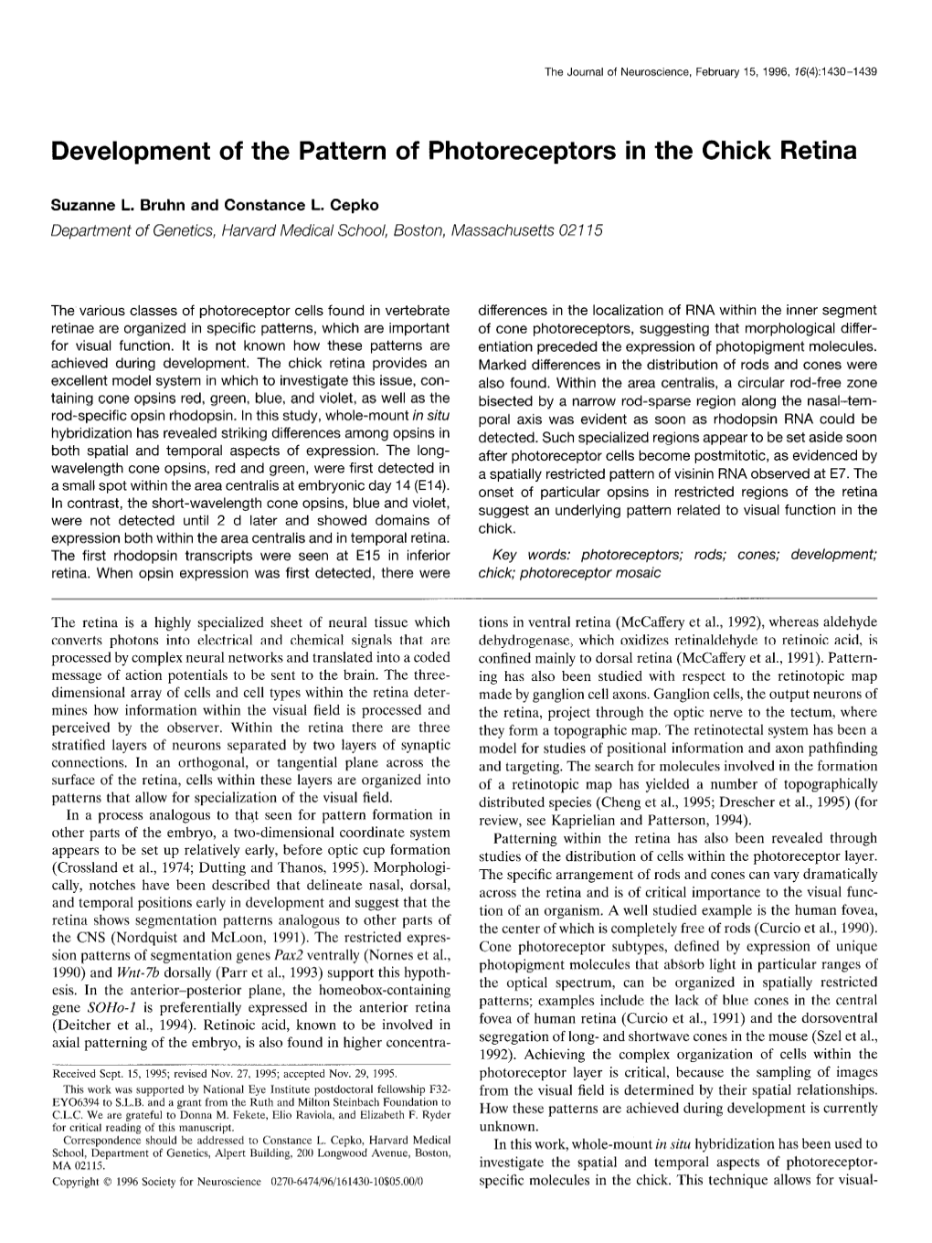 Development of the Pattern of Photoreceptors in the Chick Retina