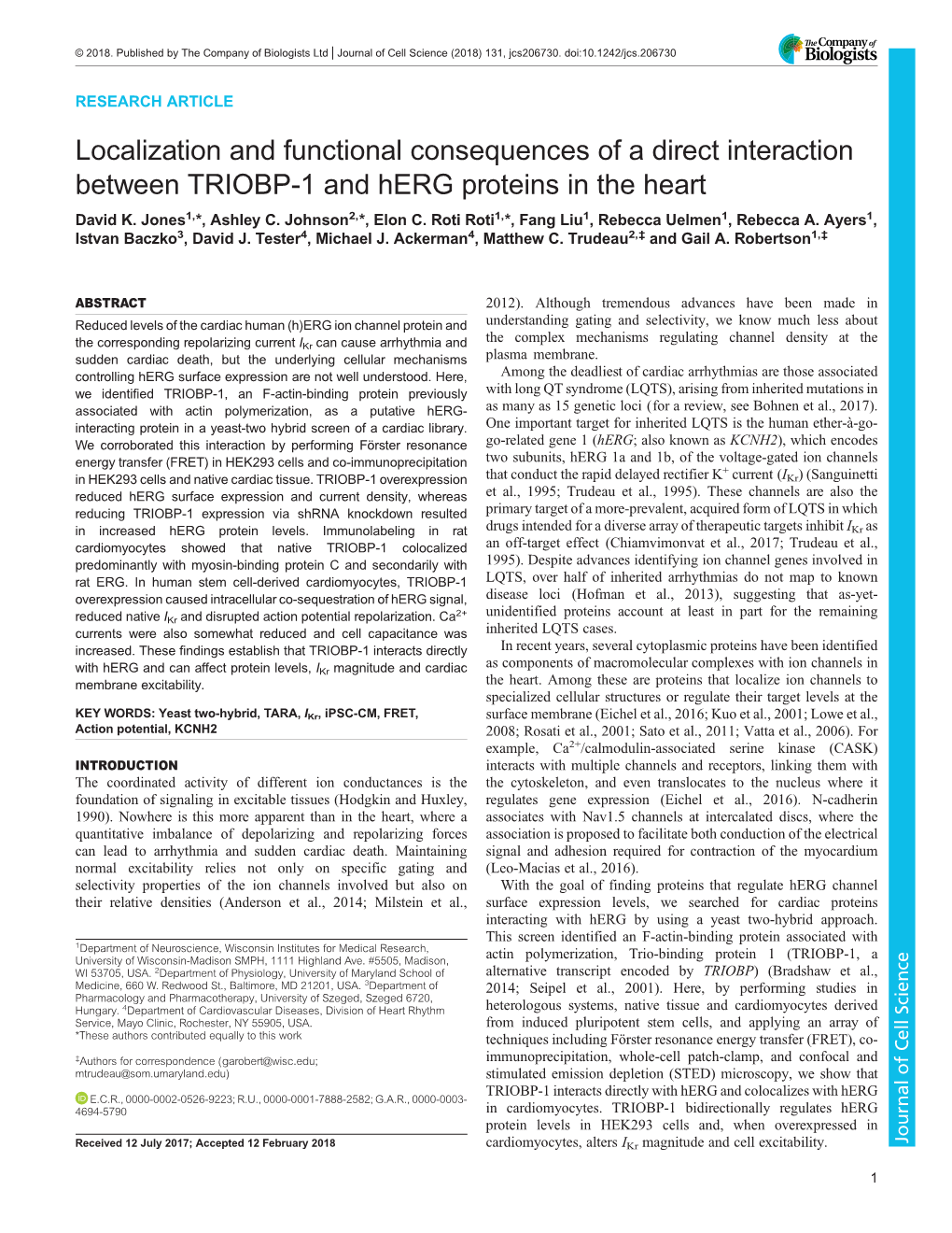 Localization and Functional Consequences of a Direct Interaction Between TRIOBP-1 and Herg Proteins in the Heart David K
