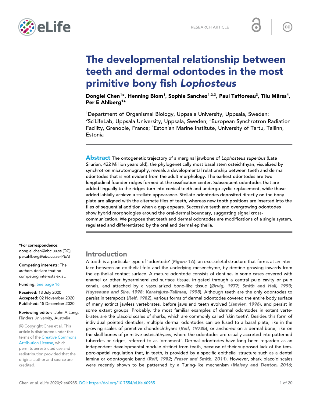 The Developmental Relationship Between Teeth and Dermal