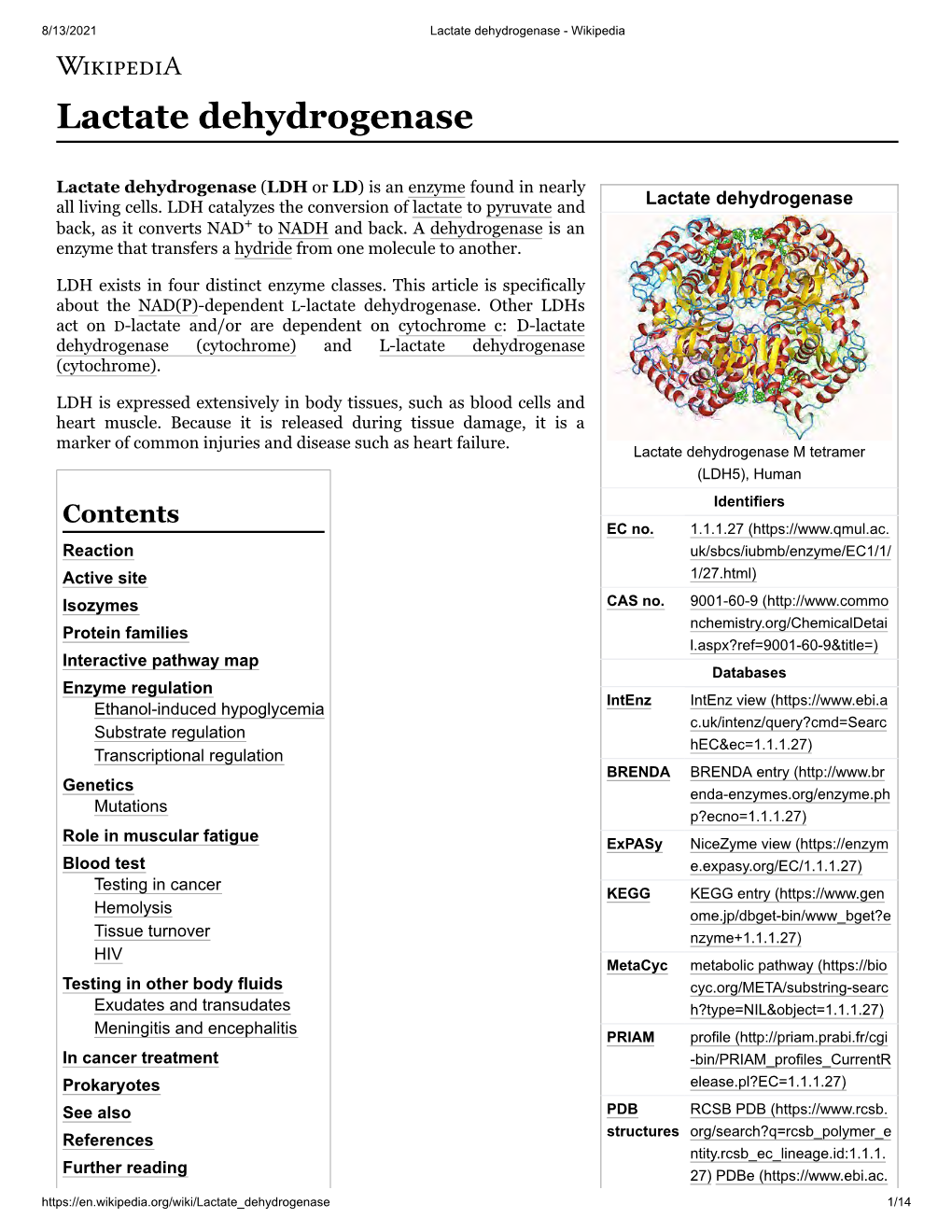 Lactate Dehydrogenase – Wikipedia